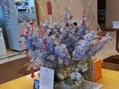 -石家庄诺华廷酒店(万象城湾里庙步行街店)
