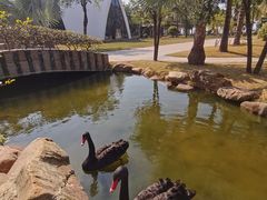 -惠州金海湾嘉华度假酒店