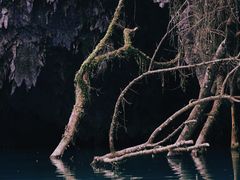 -三门海