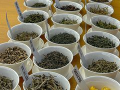 -隐溪茶馆(南京西路店)