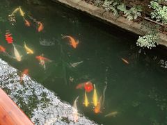 -优之名鹅城