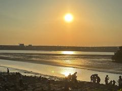 -宝安西湾红树林湿地公园