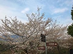 -紫霞湖公园