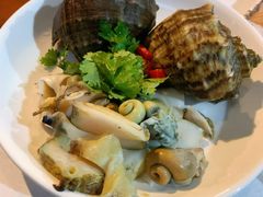 海螺-阿尔法海鲜排档(爱琴海店)