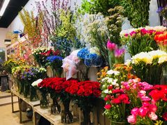 -双季花艺园艺市场(浦东店)