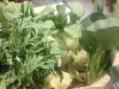 -友乐居羊蝎子(西直门店)