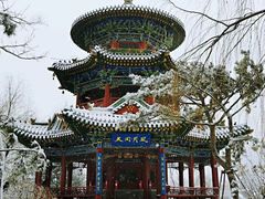 -迎泽公园