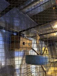 -酷嗒动物文化乐园(cutezoo西溪乐天城店)