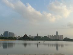 -顺峰山公园