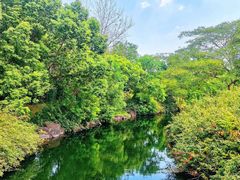 -上海滨江森林公园