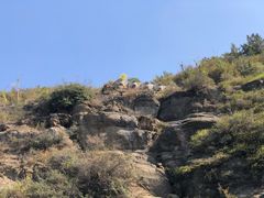 -五龙城郊森林公园