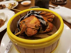 -凯菲厅海鲜姿造·海鲜自助·帝王蟹·龙虾(成都群光君悦酒店)