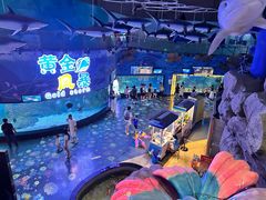 -烟台海昌鲸鲨海洋公园