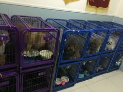 -中农大我爱我爱24h动物医院·中医针灸·猫专科·骨科医疗中心(双井店)