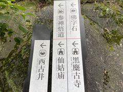 -长沙黑麋峰国家森林公园
