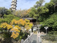-江心屿景区