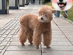 -二沙岛艺术公园