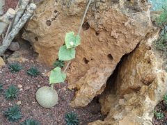 -南通洲际绿博园