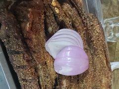 -清真·馬坡二旦烧烤(人生一串拍摄店)