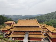 -东莞市大岭山森林公园