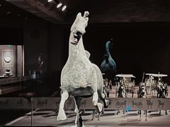 -甘肃省博物馆