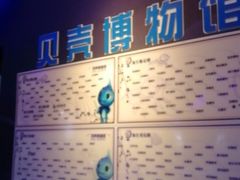 -贝壳梦幻世界
