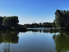 -马家湾湿地公园