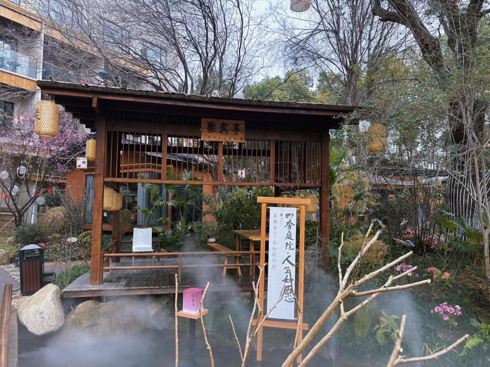 不要门票就能在樱花🌸丛里吃饭