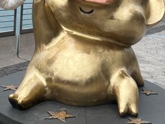 -星光大道