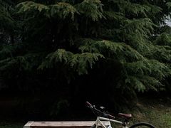 -唐城墙遗址公园