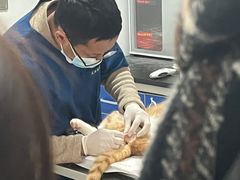 -灵美宠物诊所