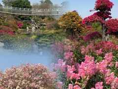 -东莞植物园