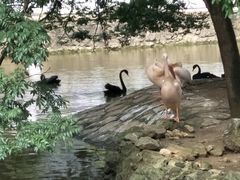 -黔灵山公园-南门售票处