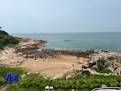 -广东惠东海龟国家级自然保护区