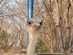 -森林公园(尖草坪区)