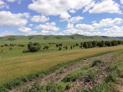 -塞罕坝国家级自然保护区