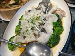 -顺意·顺德家乡菜(国际人才大厦店)