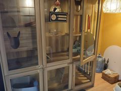 -白兔子密室(长寿路店)