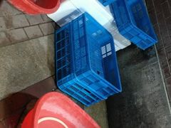 -杨氏青龙虾·羊蝎子(托乐嘉店)