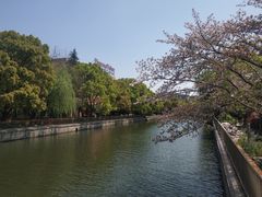 -金桥现代产业园区-停车场