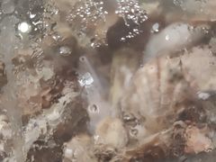 -亚马逊海鲜自助(梅溪湖步步高店)