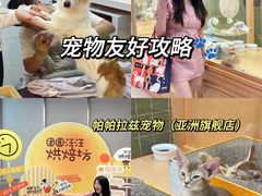 -帕帕拉兹宠物(亚洲旗舰店)