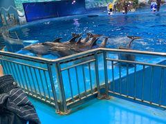 -多彩贵州城极地海洋世界