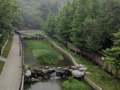 -白水寺森林公园