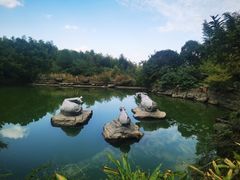 -虞山风景区