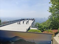 -紫金山山顶公园