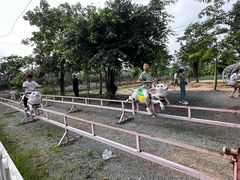-长洲岛都市农业公园