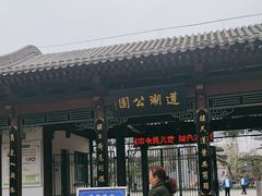 -莲湖公园