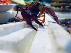-小螺号海鲜·地道鲁菜(泉城广场店)