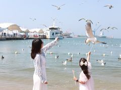 -海驴岛(荣成市)